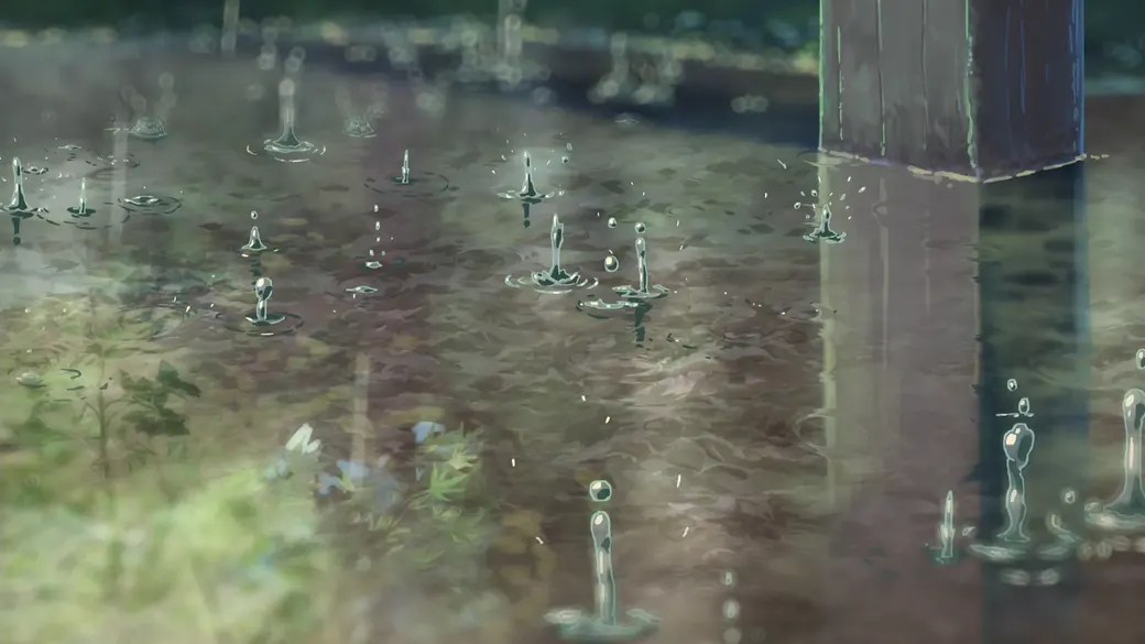 Rain puddle